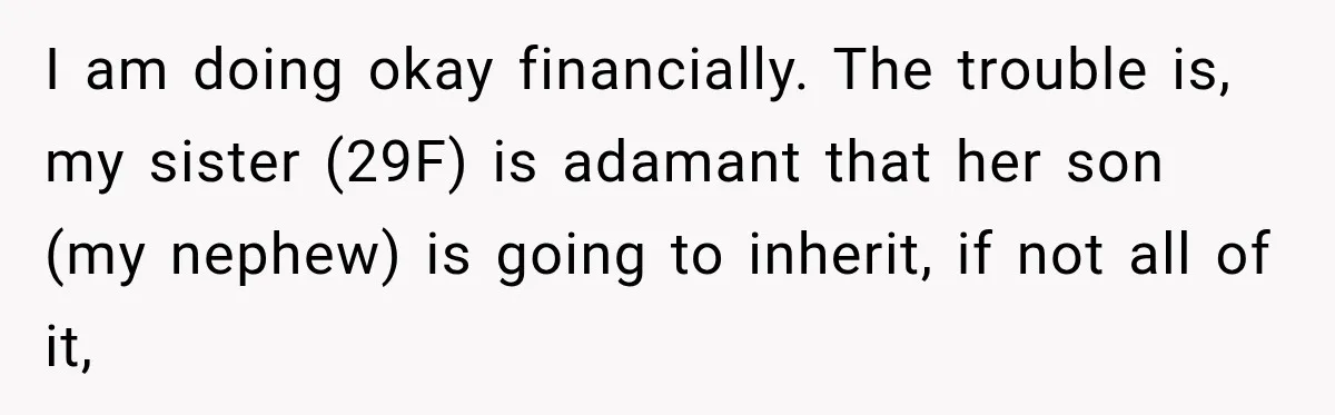 Sister Tells Everyone Her 7-Year-Old Will Inherit Brother's Business, His Response at Family Dinner Surprises Her I am doing okay financially. The trouble is, my sister (29F) is adamant that her son (my nephew) is going to inherit, if not all of it,