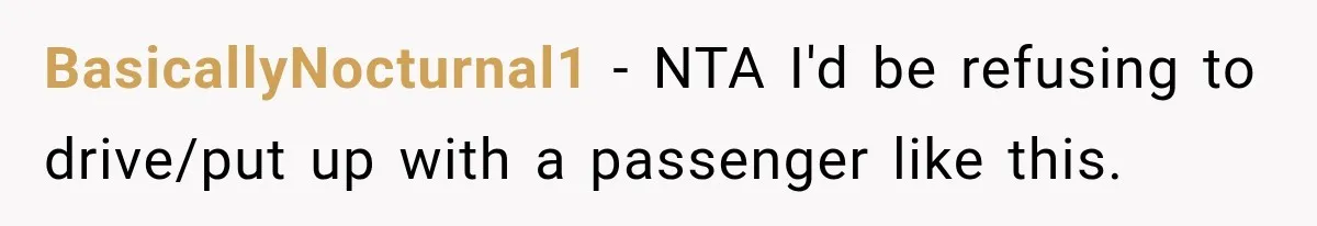BasicallyNocturnal1 − NTA I'd be refusing to drive/put up with a passenger like this.