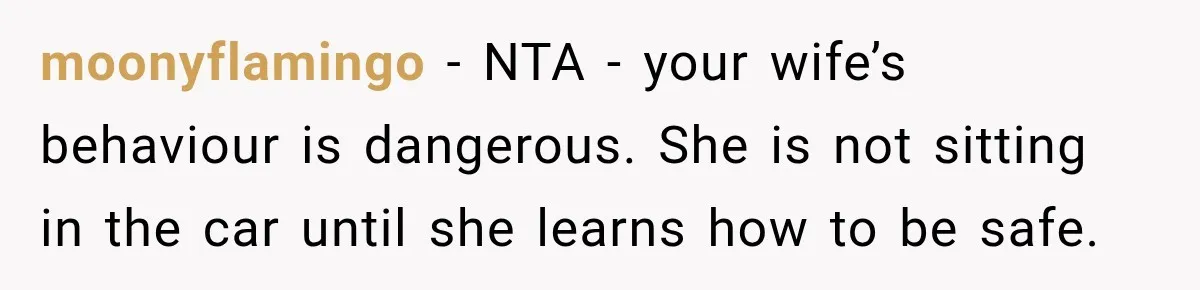 moonyflamingo − NTA - your wife’s behaviour is dangerous. She is not sitting in the car until she learns how to be safe.
