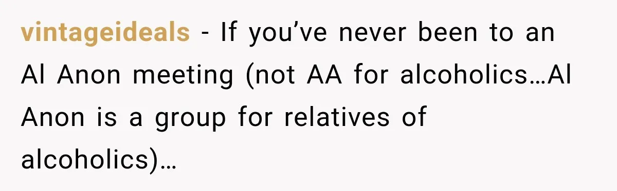 vintageideals − If you’ve never been to an Al Anon meeting (not AA for alcoholics…Al Anon is a group for relatives of alcoholics)…